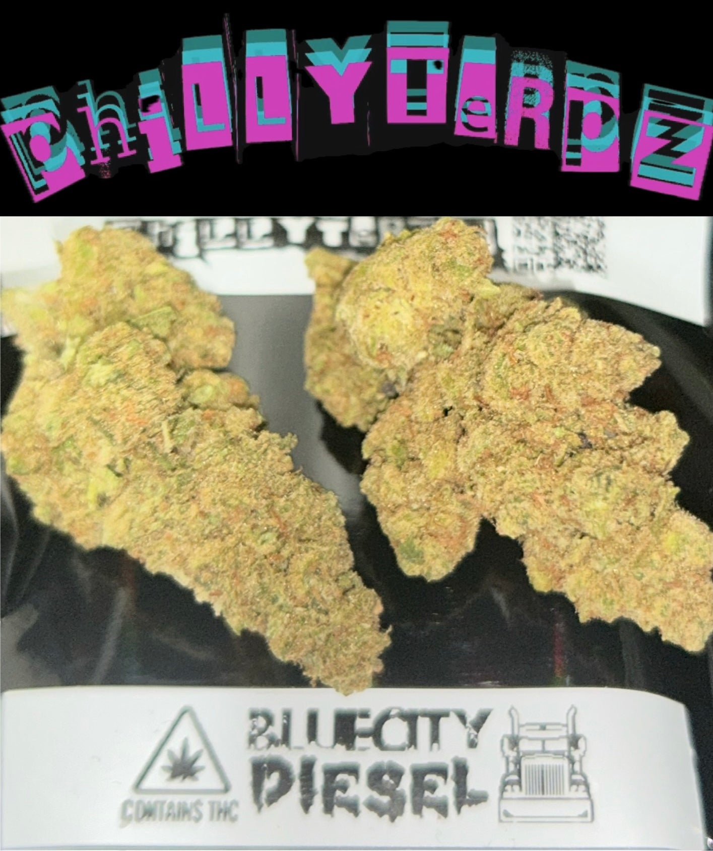 BLUE CITY DIESEL